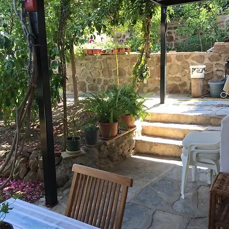 Bougainvilleas * أكيارلار
